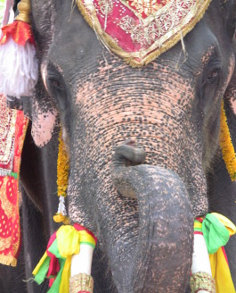 Thailand – The first time