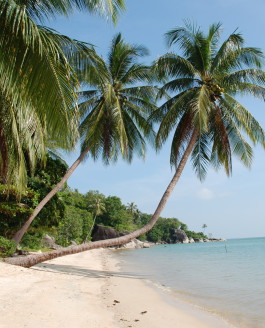 Thailand – The second time